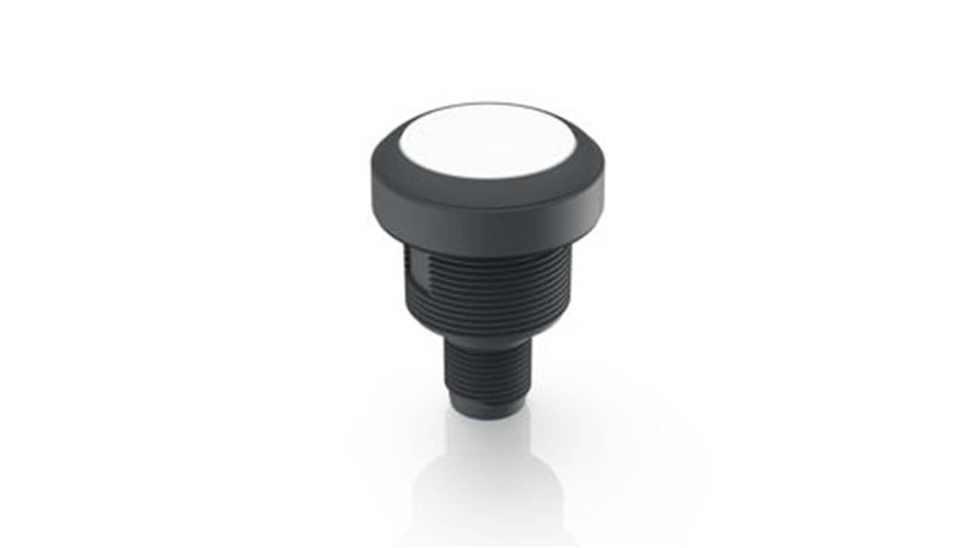 RAFI Push Button Bezel for Use with Lamp