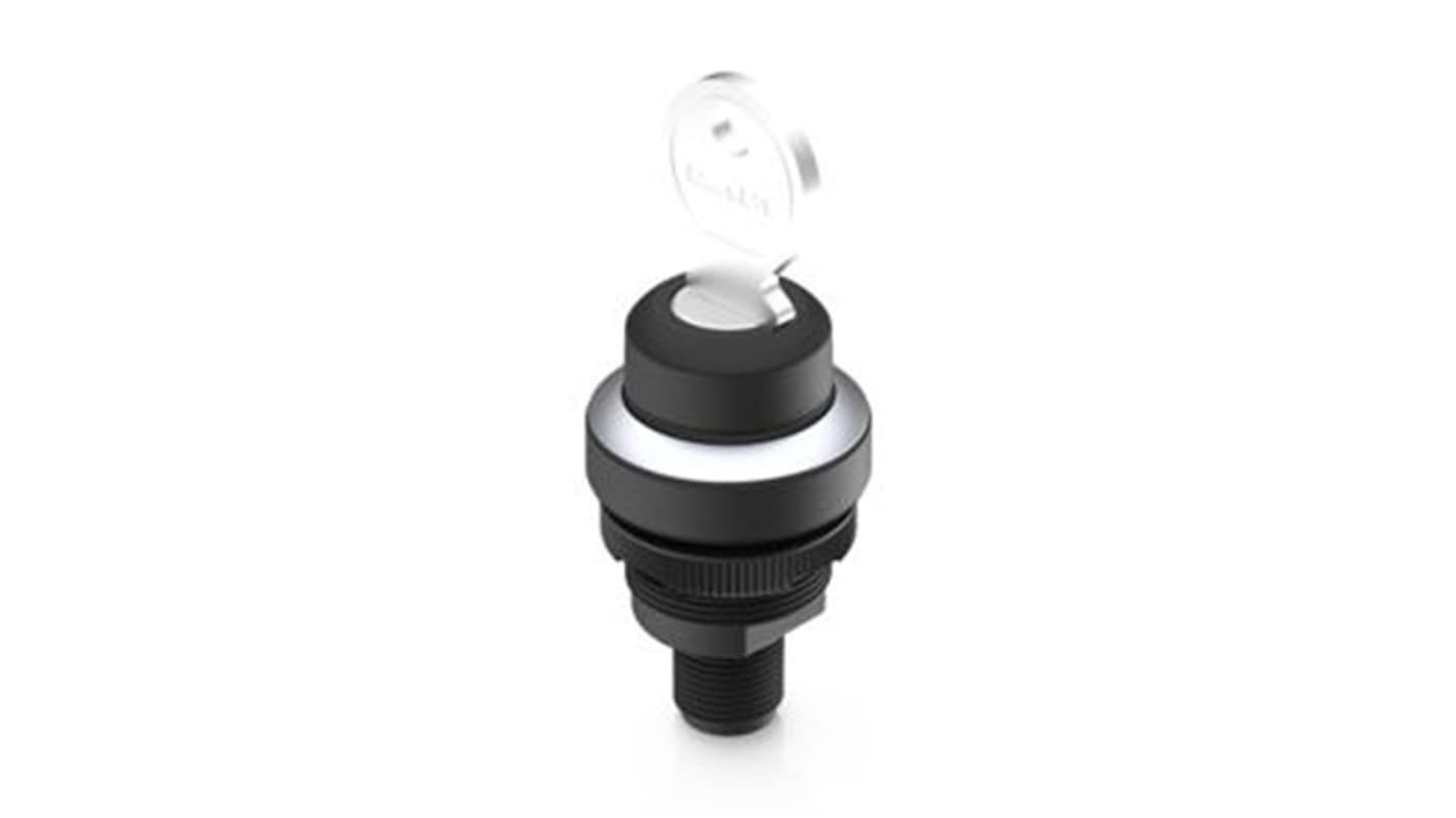 RAFI IP65 Key Switch, DPST, 100000mA 2-Way Flat-Key