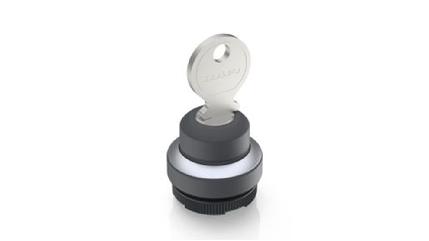 RAFI IP65 Key Switch 20-Way Tubular-Key