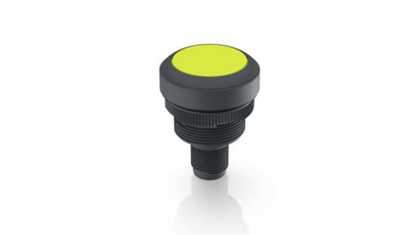RAFI Push Button Switch for Use with Protective Cap