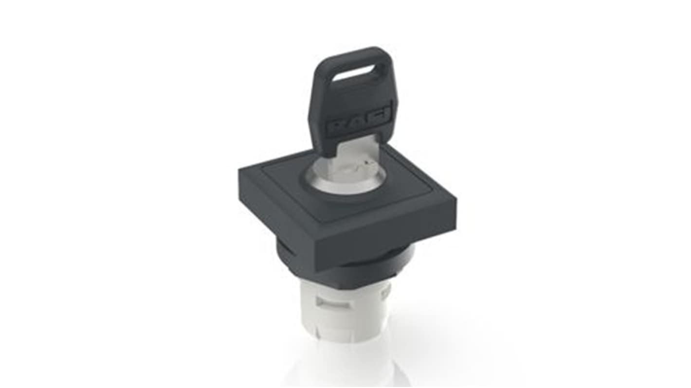 RAFI IP65 Key Switch 2-Way Flat-Key