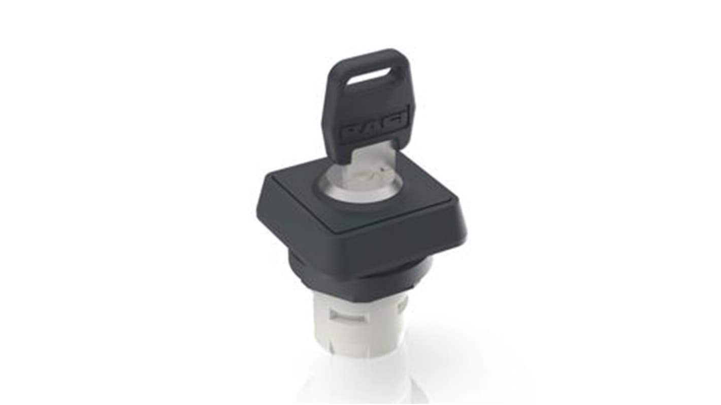 RAFI IP65 Key Switch 3-Way Flat-Key