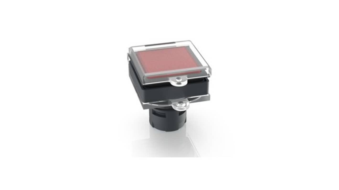 RAFI Transparent Push Button Cap for Use with Switch Accessories
