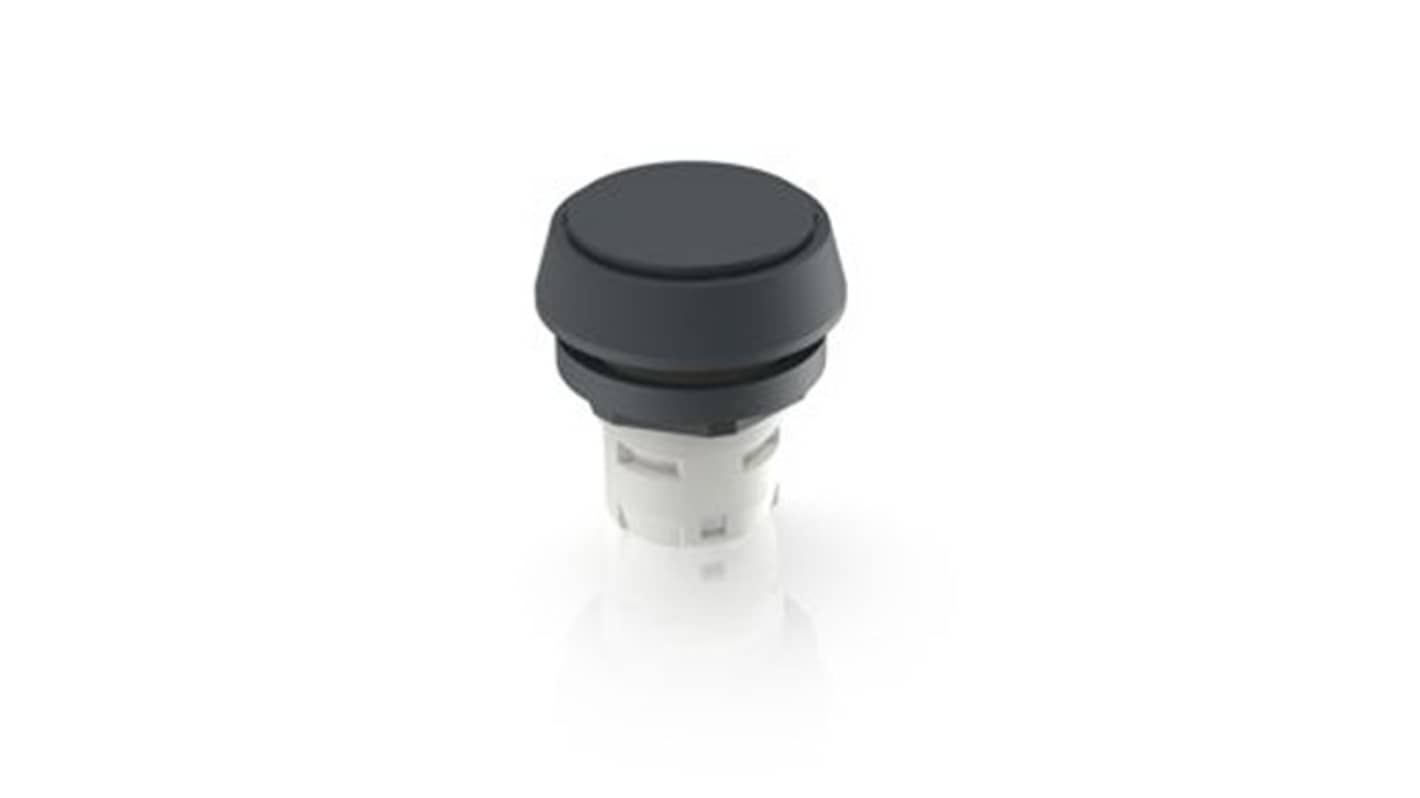 RAFI Push Button Bezel for Use with Pushbutton