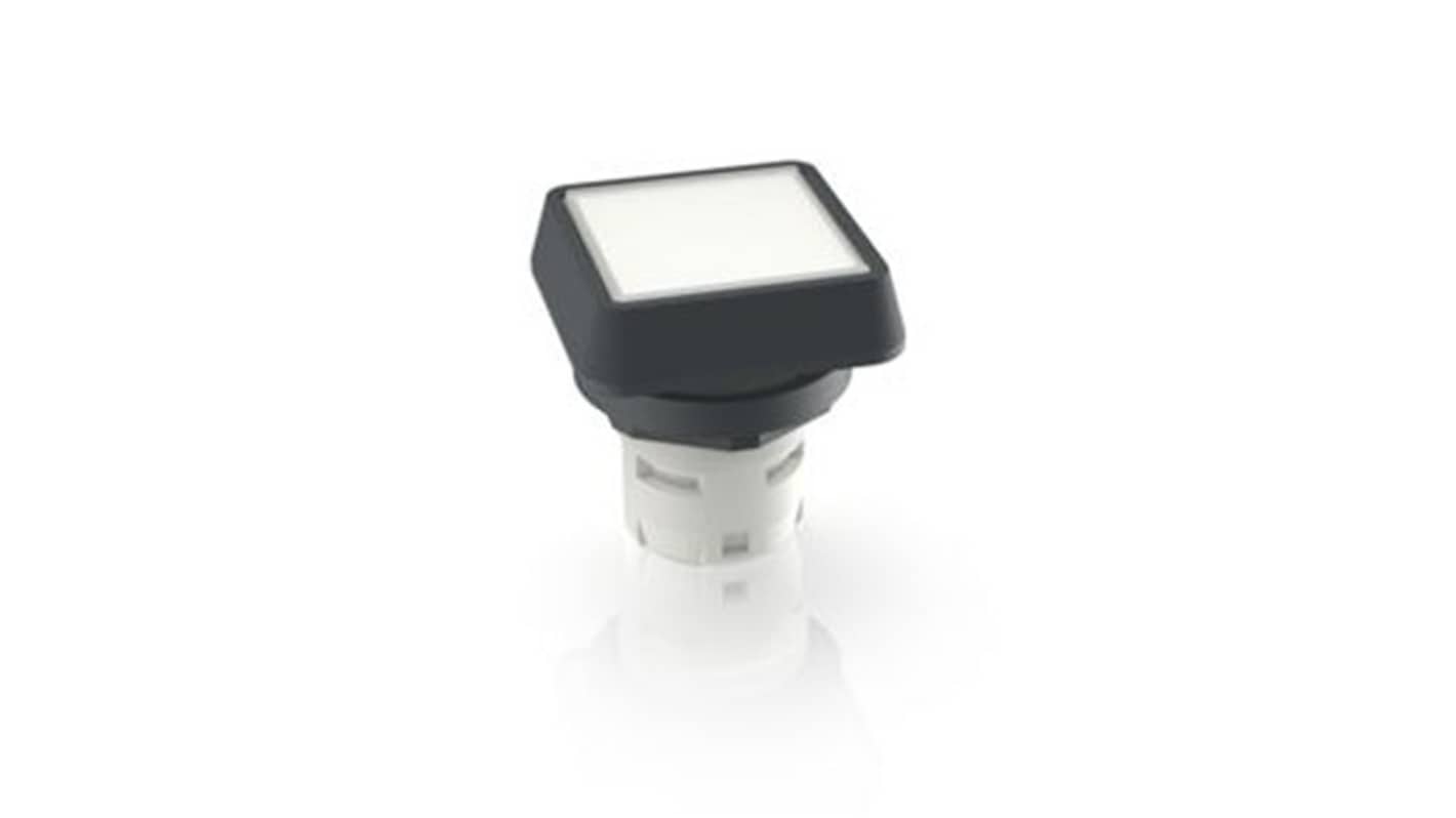 RAFI Push Button Bezel for Use with Pushbutton
