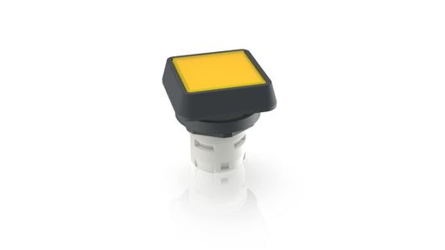 RAFI Push Button Bezel for Use with Pushbutton