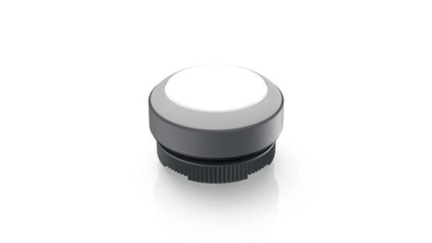 RAFI Push Button Bezel for Use with Illuminated Pushbutton