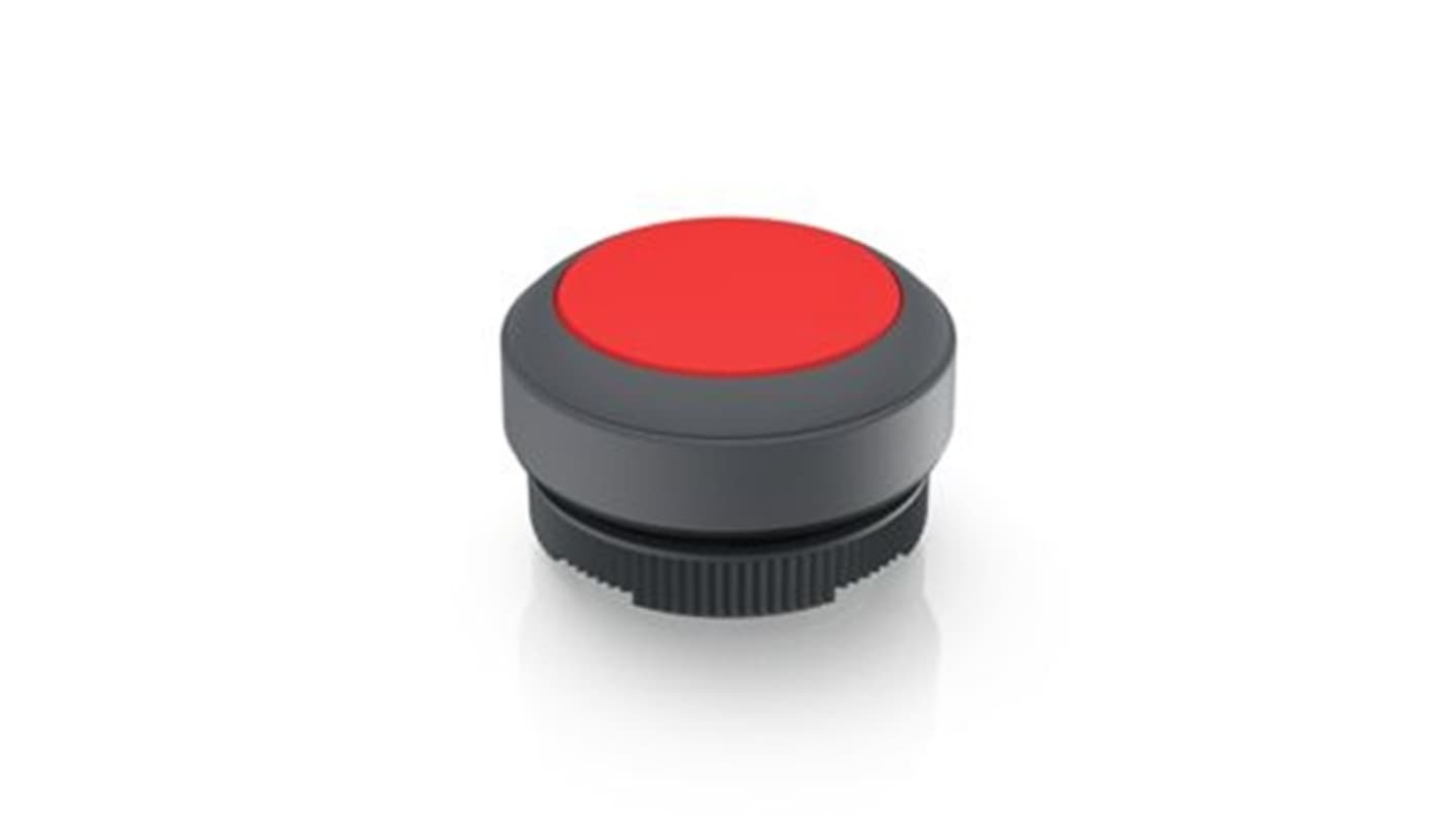 RAFI Push Button Bezel for Use with Illuminated Pushbutton