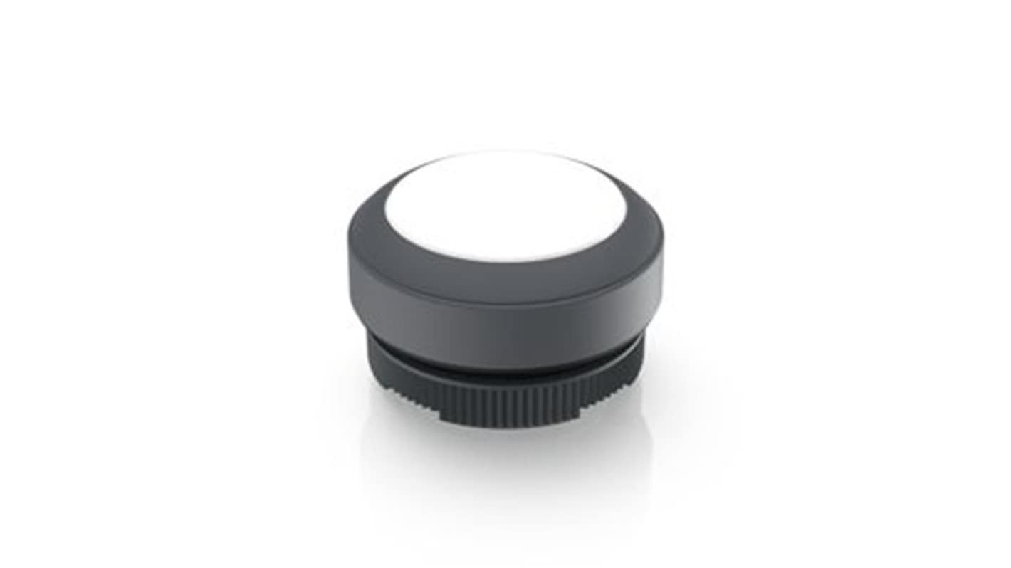 RAFI Push Button Bezel for Use with Illuminated Pushbutton