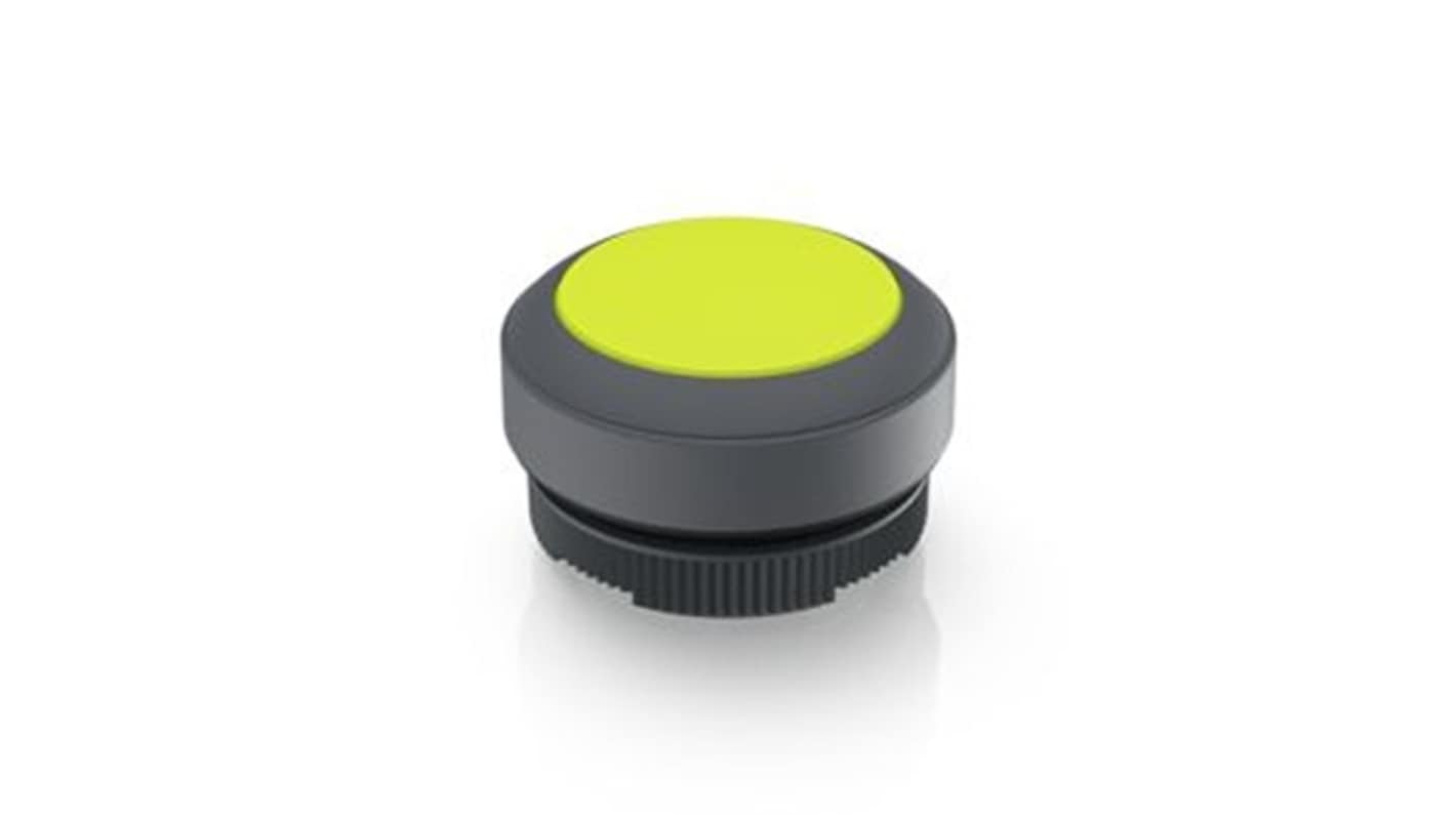 RAFI Push Button Bezel for Use with Illuminated Pushbutton