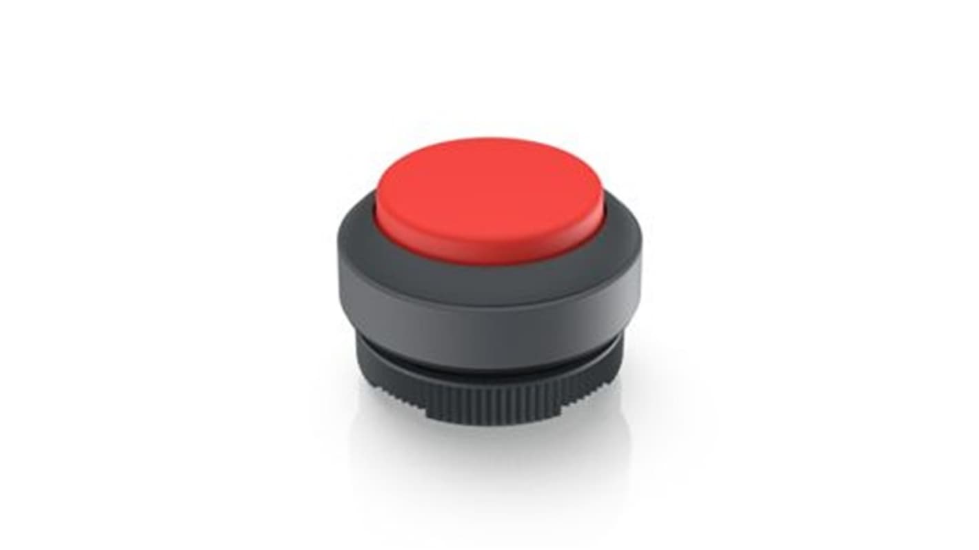 RAFI Push Button Bezel for Use with Illuminated Pushbutton