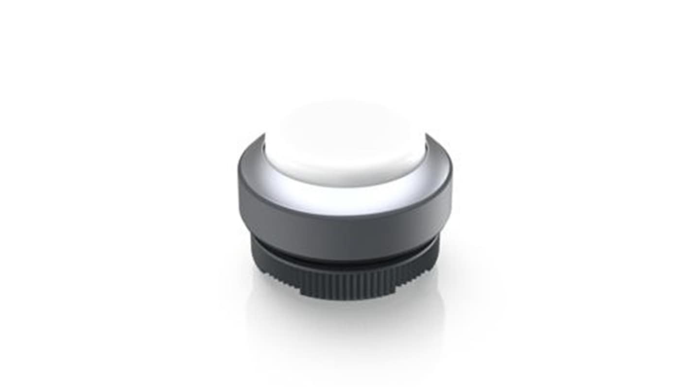 RAFI Push Button Bezel for Use with Illuminated Pushbutton