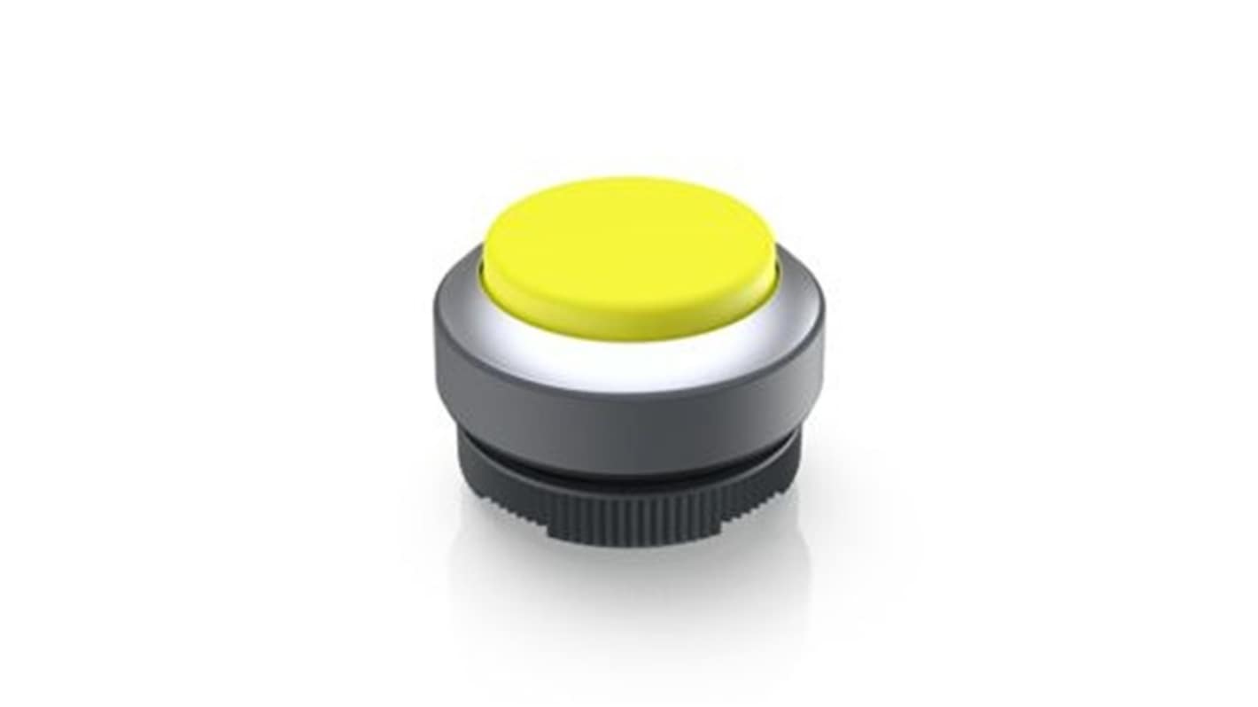 RAFI Push Button Bezel for Use with Illuminated Pushbutton