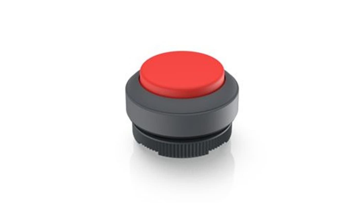 RAFI Push Button Bezel for Use with Illuminated Pushbutton