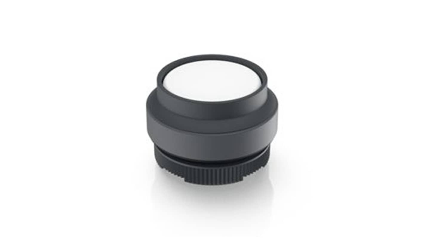 RAFI Push Button Bezel for Use with Illuminated Pushbutton