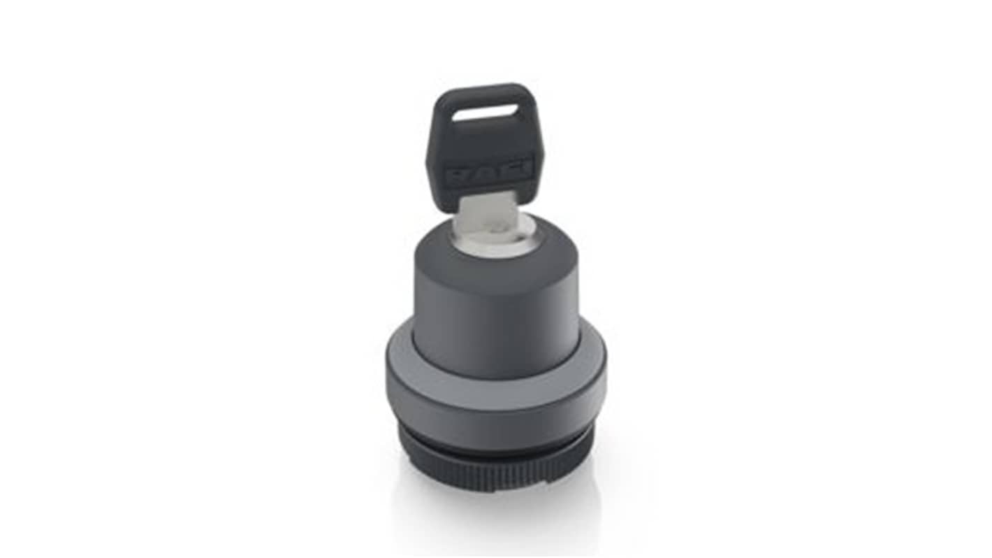 RAFI IP65 Key Switch 1-Way Tubular-Key