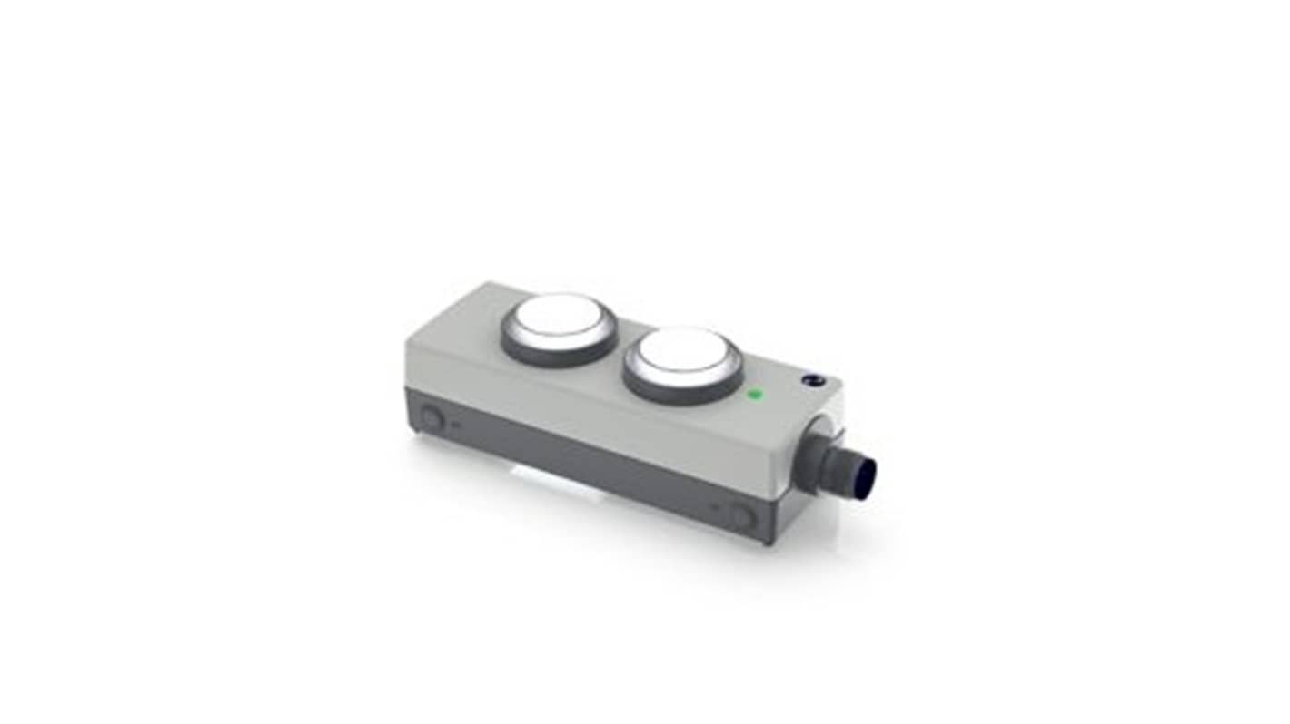 RAFI Momentary Contact Control Station Switch - DPST, 2 Cutouts, Transparent, IP65