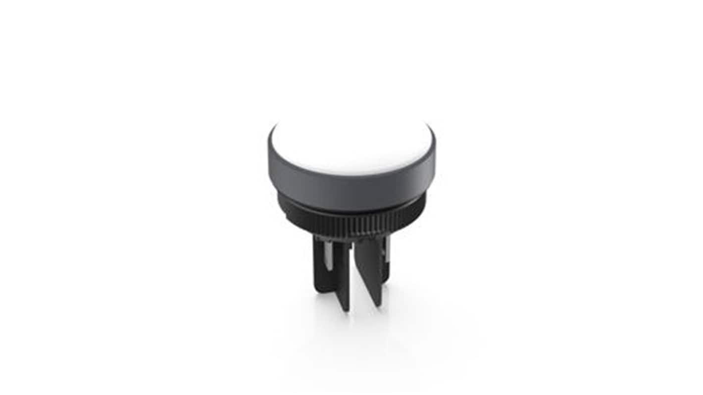 RAFI 绿色，红色指示灯, 8 → 30V 直流, Φ22.3mm安装孔, 推入式端接, RAFIX 22 FS+系列
