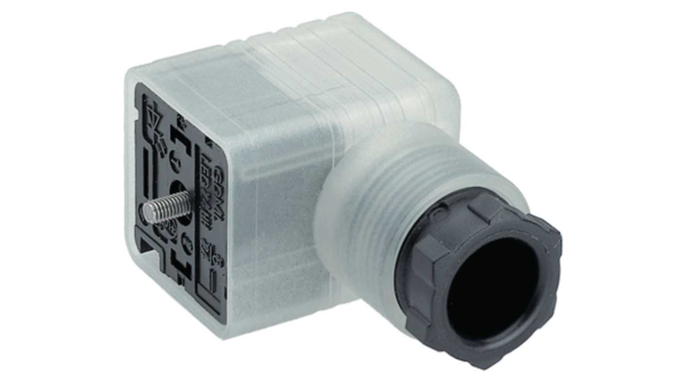 Hirschmann GDML 2011 GB1 2 + PE DIN 43650, Socket DIN 43650 Solenoid Connector, 250 V Voltage