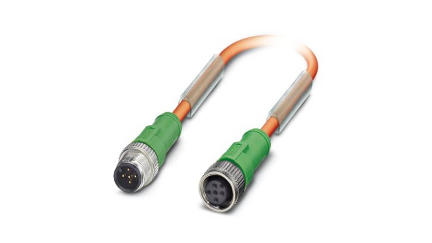 Phoenix Contact Straight Male 5 way M12 to All Directions Male 5 way M12 Sensor Cable, 600mm