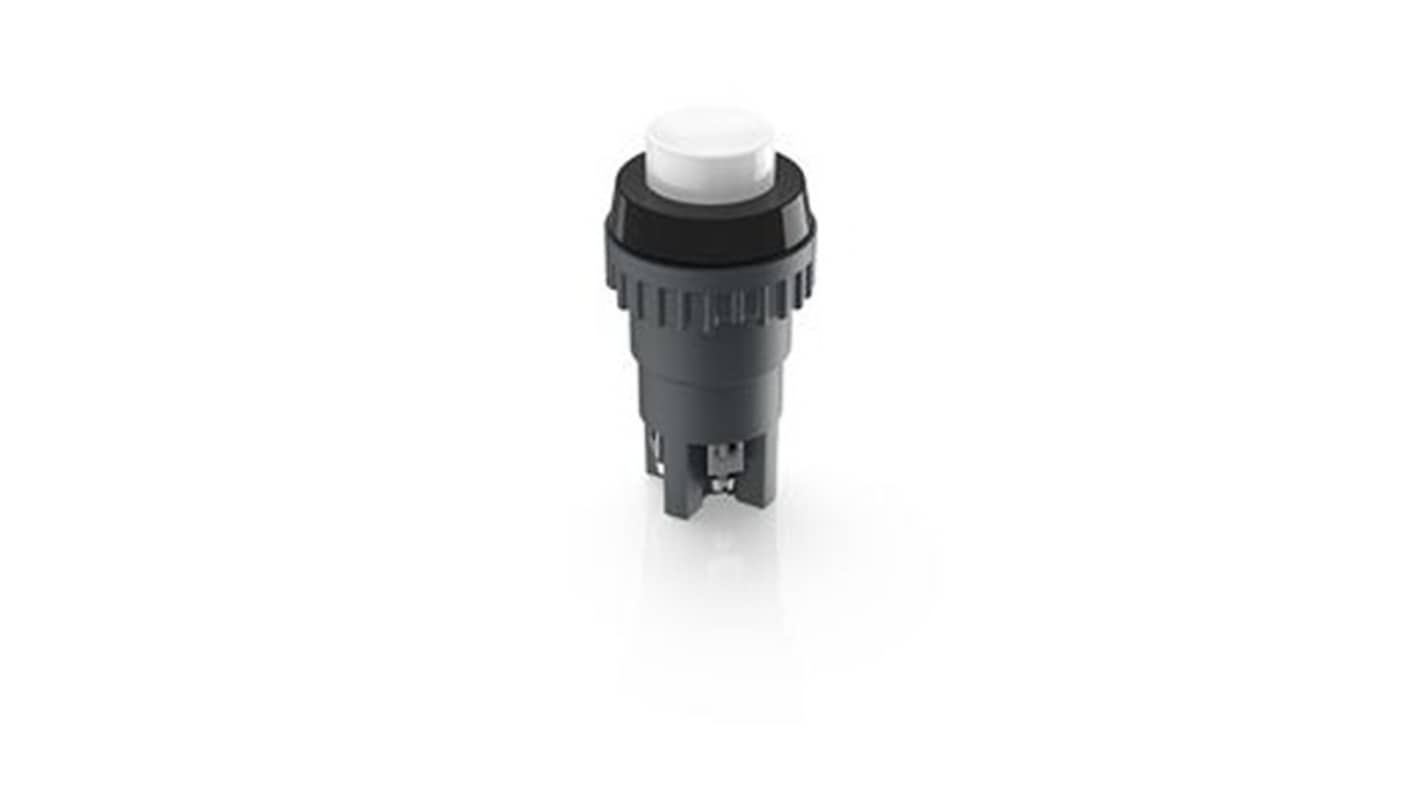RAFI 照光式プッシュボタンスイッチ, モーメンタリ, DPST, 18.2mm スルーホール実装, IP40、IP65