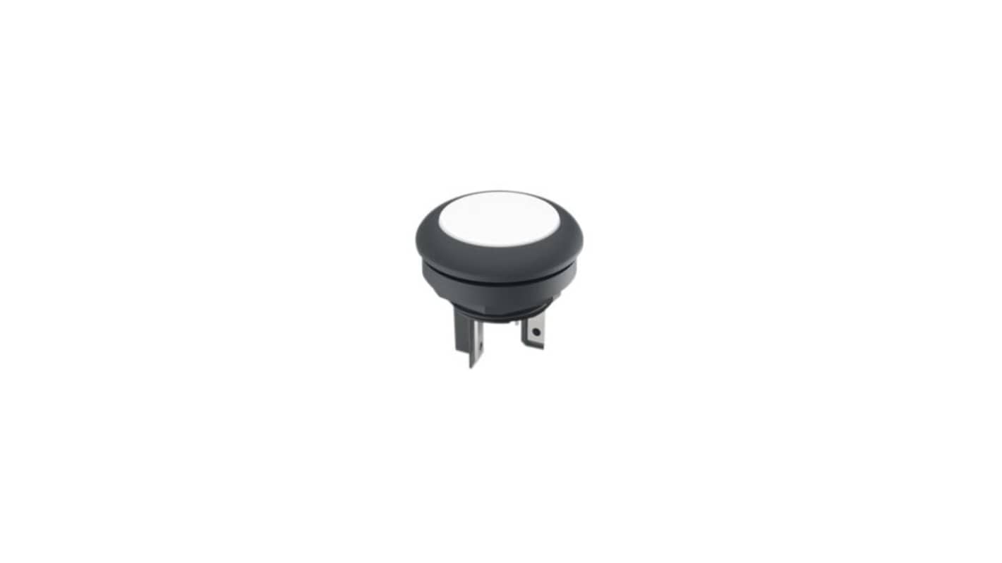 RAFI LUMOTAST 16 Series Illuminated Push Button Switch, Momentary, Through Hole, 16.2mm Cutout, 1 NO, 35V, IP65, IP67
