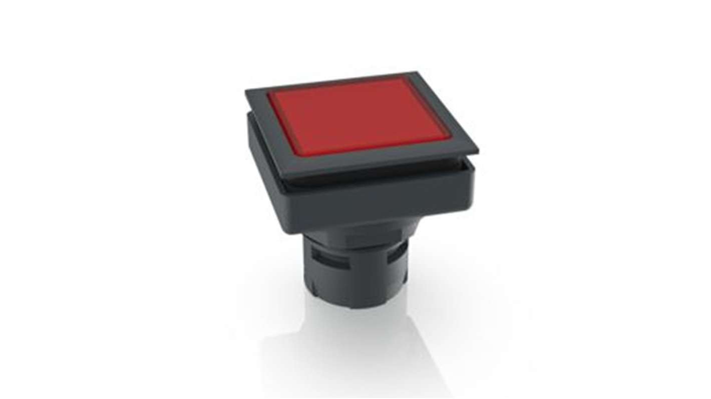 RAFI Push Button Bezel for Use with Pushbutton