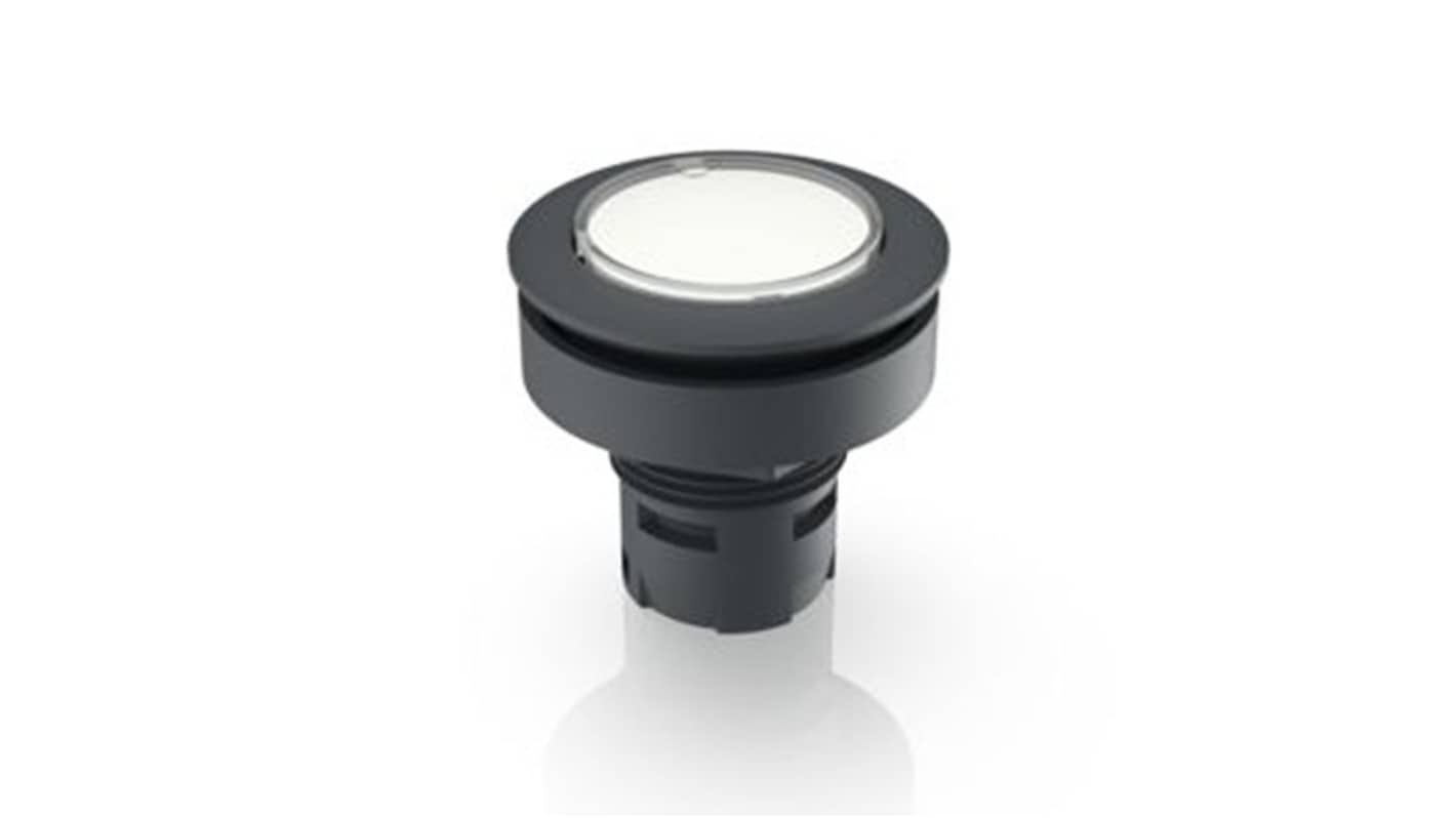 RAFI Clear Push Button Lamp for Use with Push Button