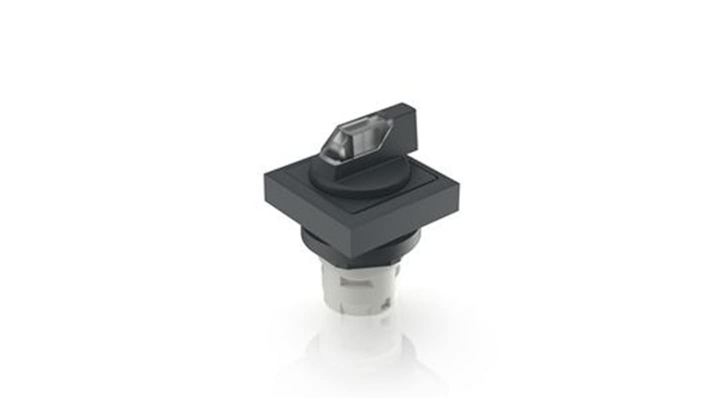 RAFI Selector Switch - 16.2mm Cutout Diameter, Illuminated 1 Positions