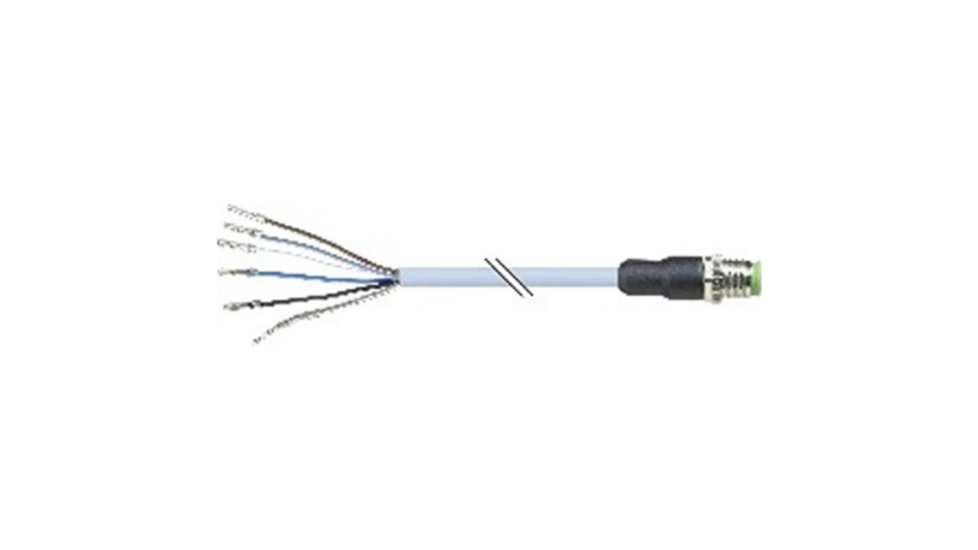B&R Straight Male 5 way M12 to Unterminated Actuator/Sensor Cable, 10m
