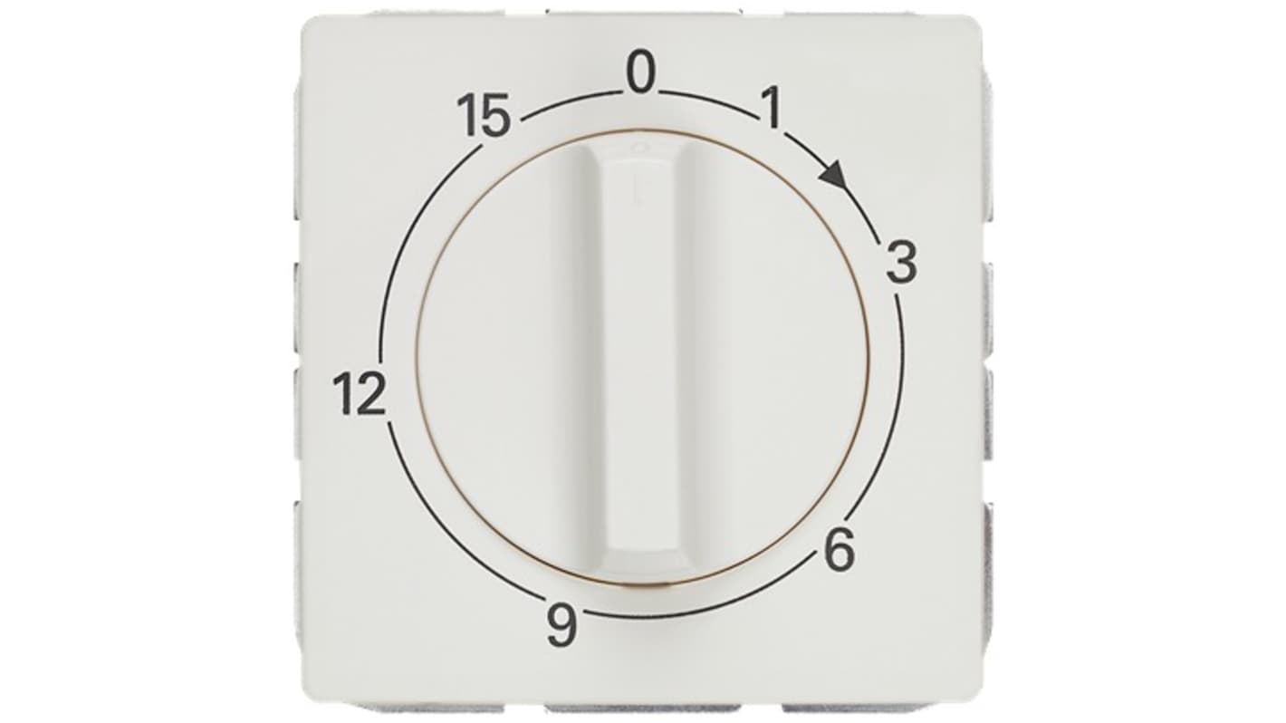 Siemens Analog Time Switch 250