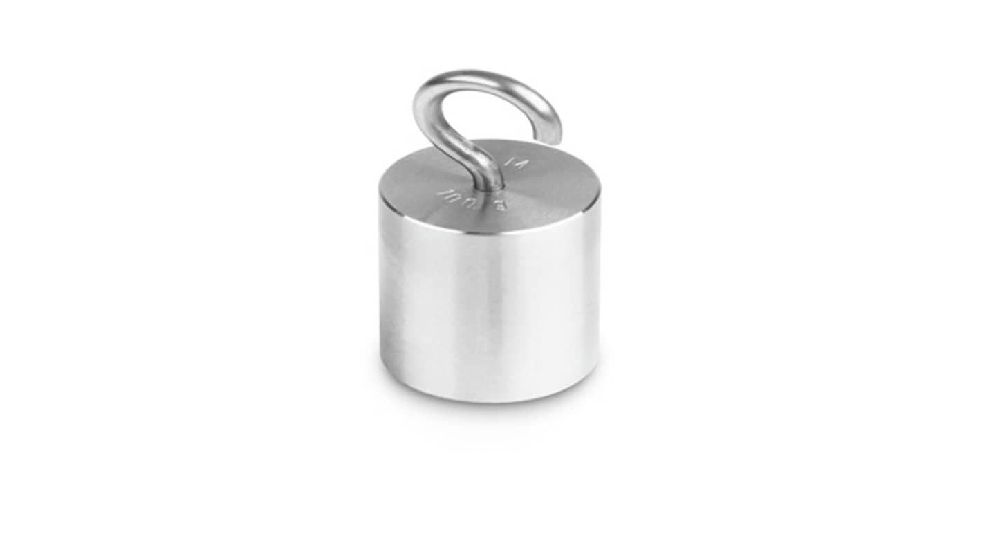 Kern 100 Calibration Weight