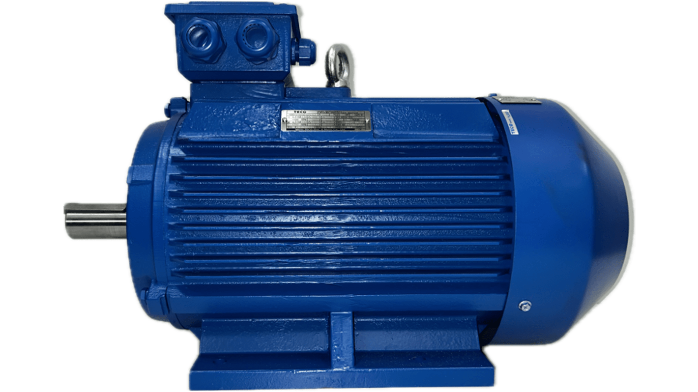 TECO Westinghouse AEEVYY Squirrel Cage Motor AC Motor, 30 kW, IE3, 1 Phase, 4 Pole, 400 V, B3 Foot Mounted Mounting