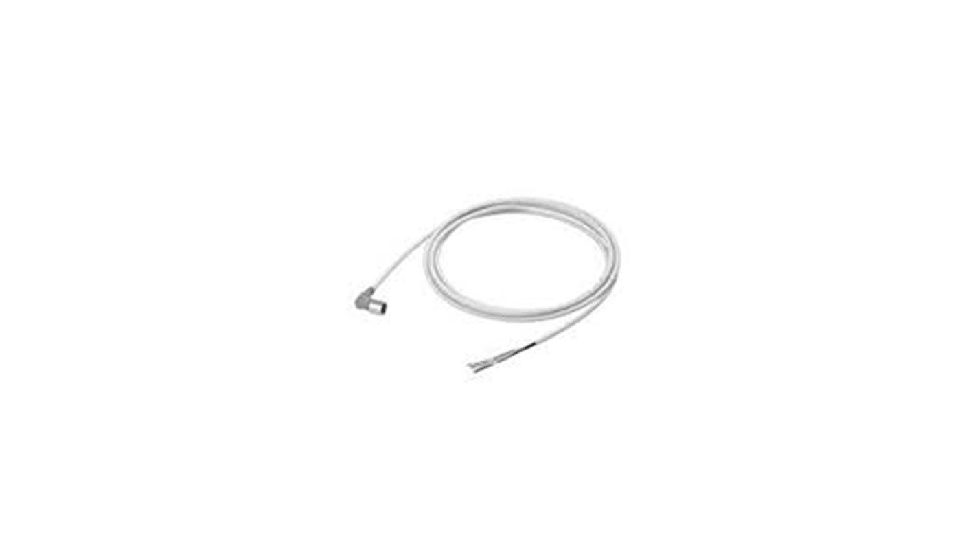 SMC Plug Assembly