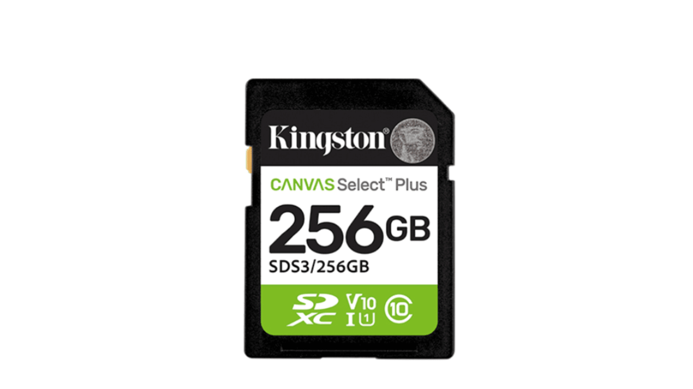 256 GB SDXC SD Card, Class 10, UHS-I
