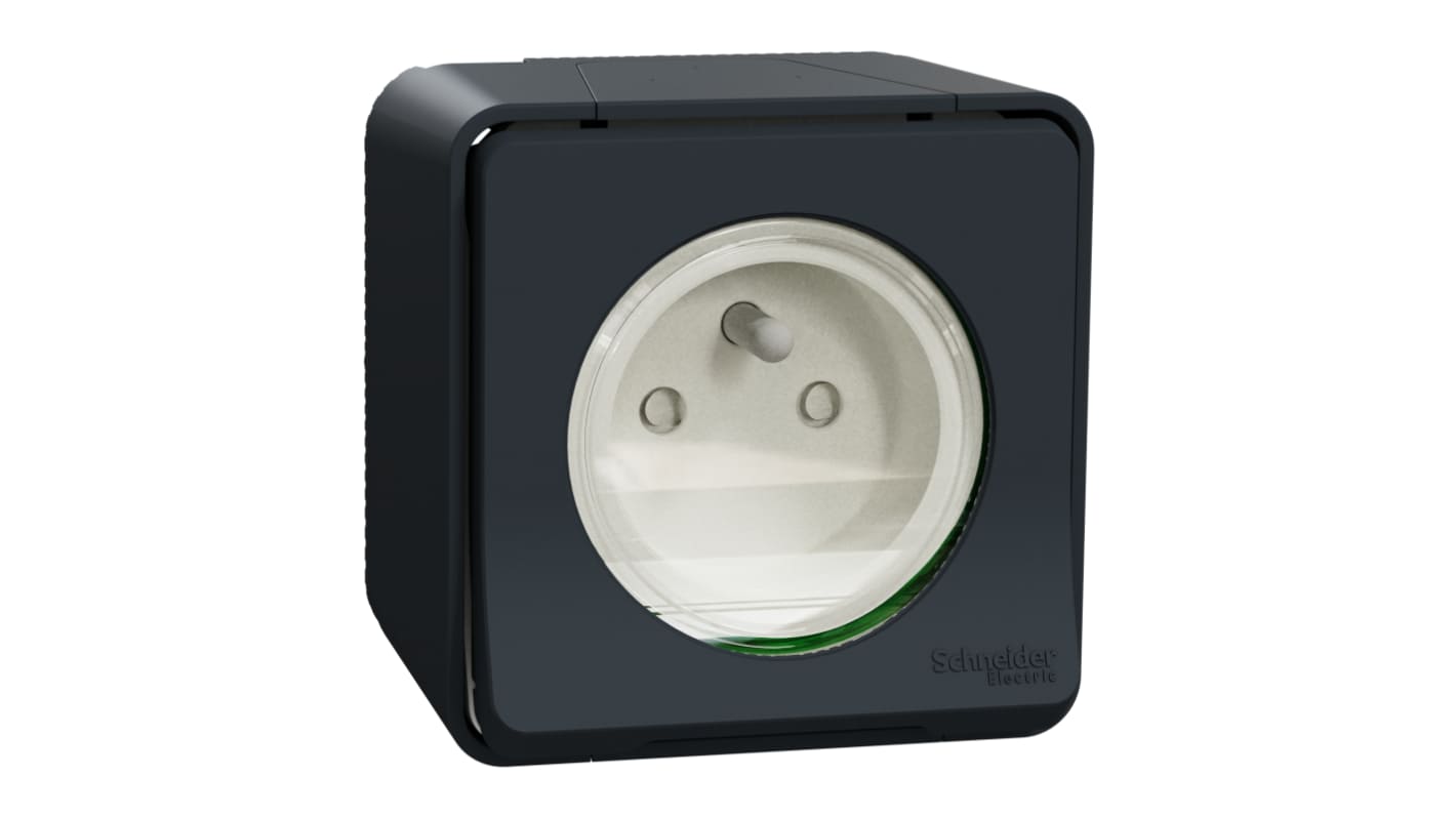 Schneider Electric Grey 1 Gang Plug Socket, 2P+E Poles, 16A, Type E - French, Outdoor Use