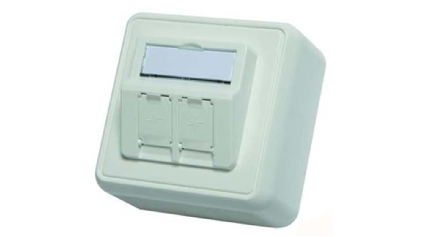 Surface Mount Faceplate 80x80 double