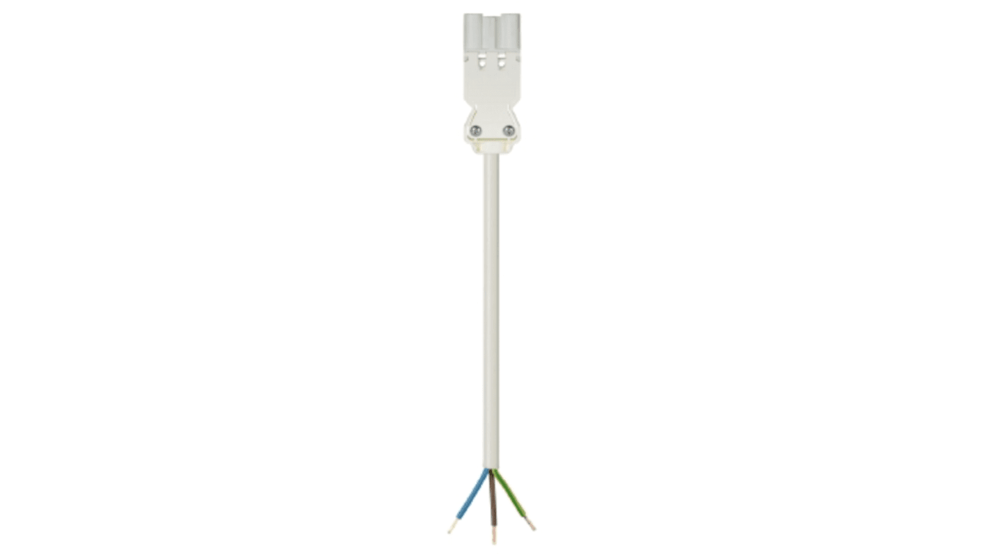 Wieland GST18i3 Series Cable Assembly, 3-Pole, Male to Female, 16A, IP40