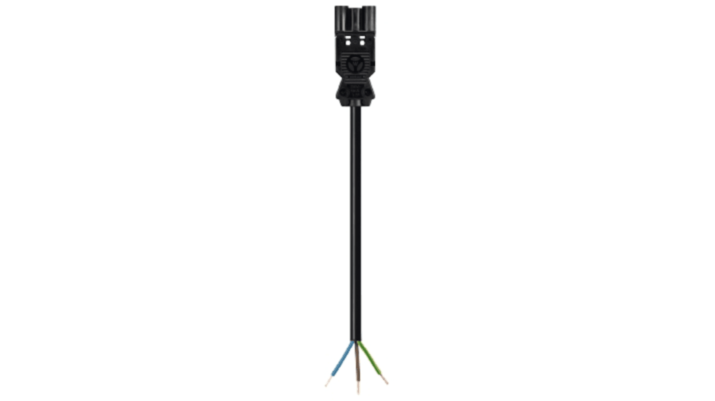 Wieland GST18i3 Series Cable Assembly, 3-Pole, Male, 16A, IP40