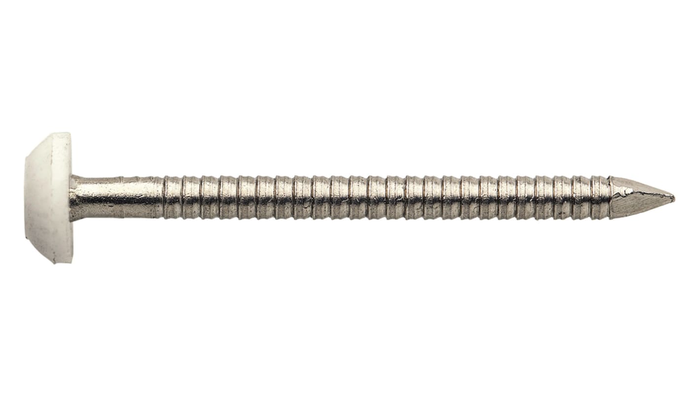 30MM x 2.0 WHITE POLY HEAD PIN A4/316