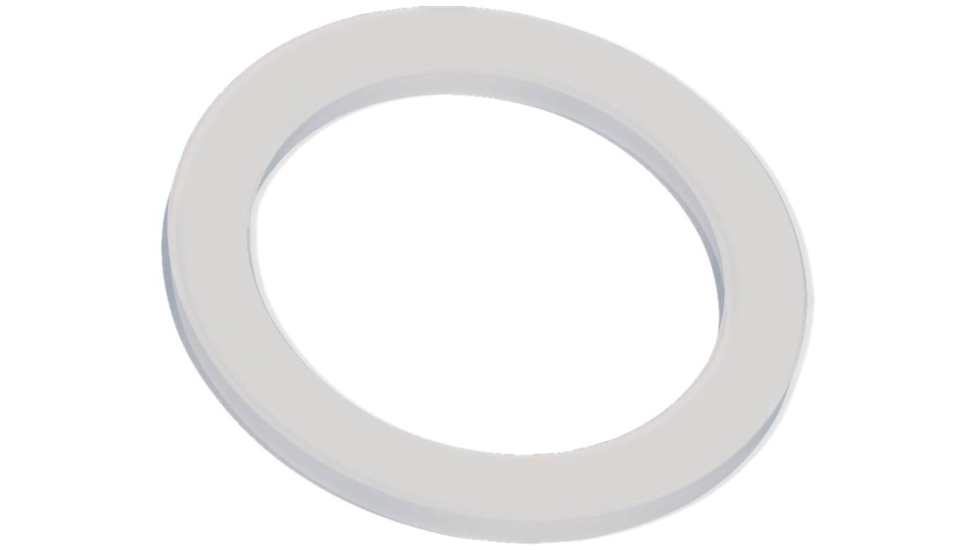 Watts 100 x Washer & Seal Kit