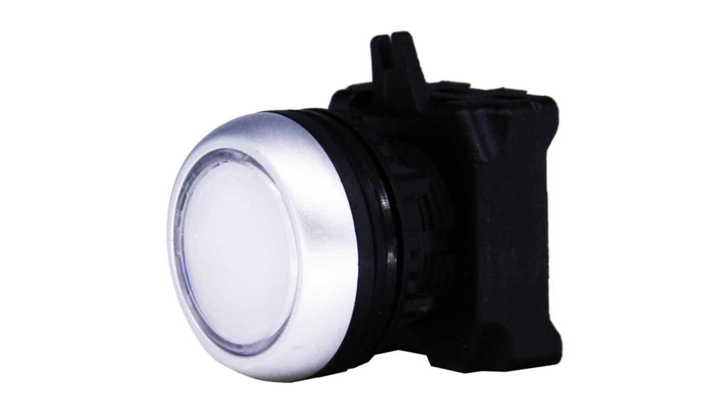 RS PRO White Illuminated Spring Return Push Button Head, 22mm Cutout, IP65