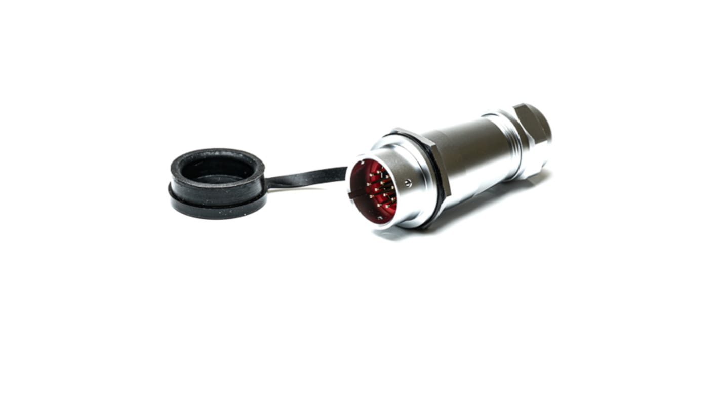 RS PRO Circular Connector, 12 Contacts, Cable Mount, M20 Connector, Socket, Male, IP67