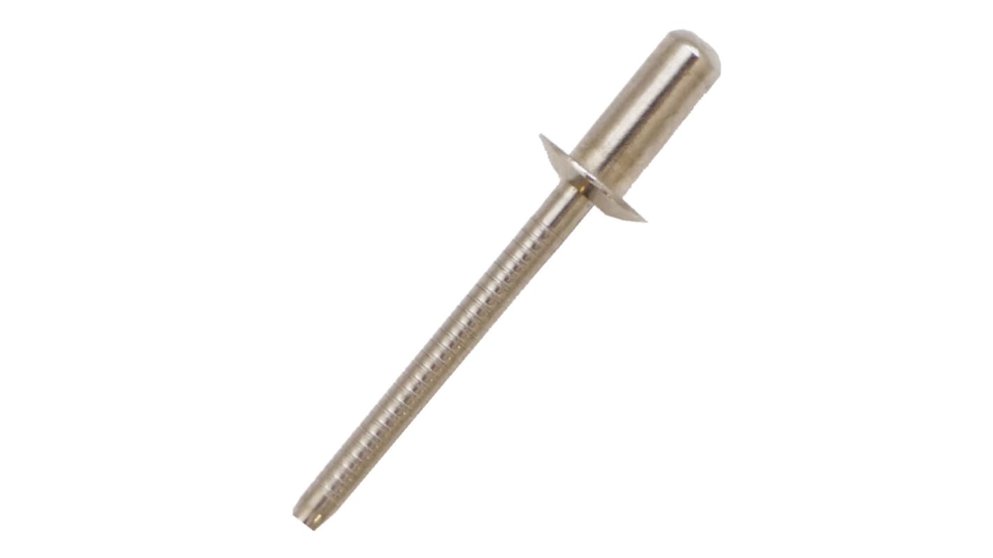 Nýt, délka nýtu: 9.5mm, Šedá, Prostý Nerezová ocel Slepý, průměr nýtu: 4.8mm