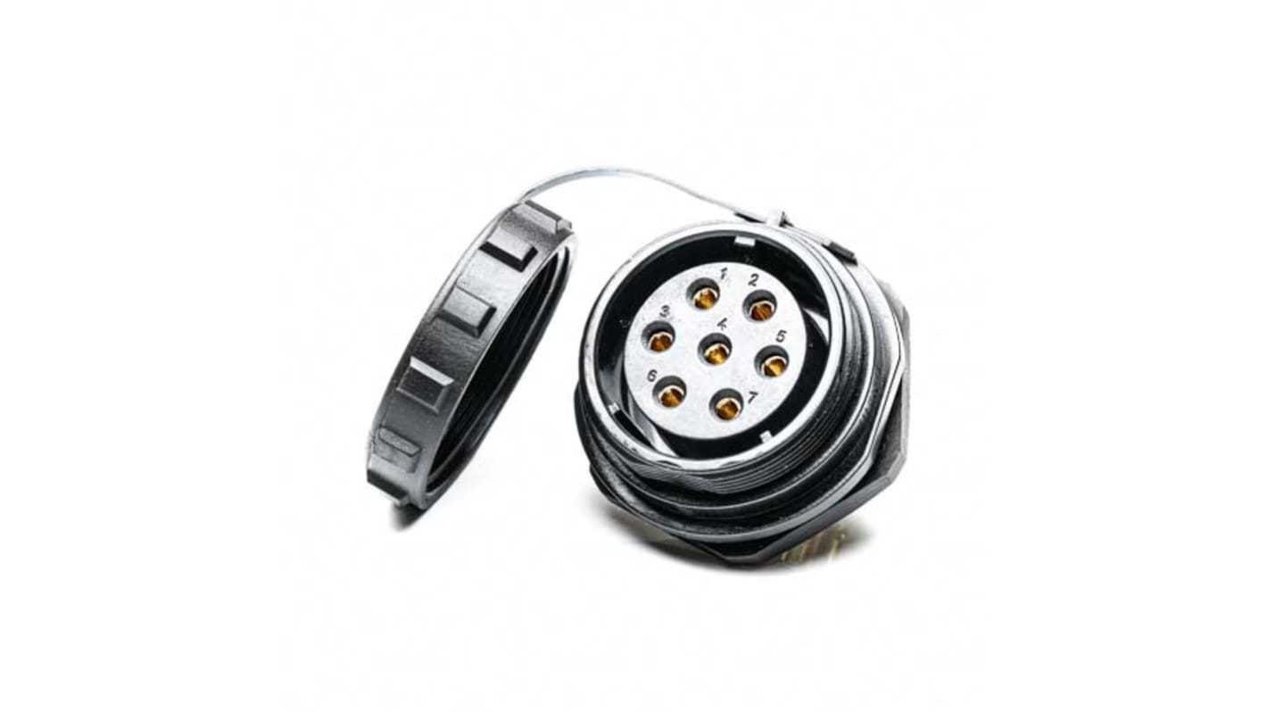 RS PRO Circular Connector, 7 Contacts, Rear Mount, Socket, Female, IP68