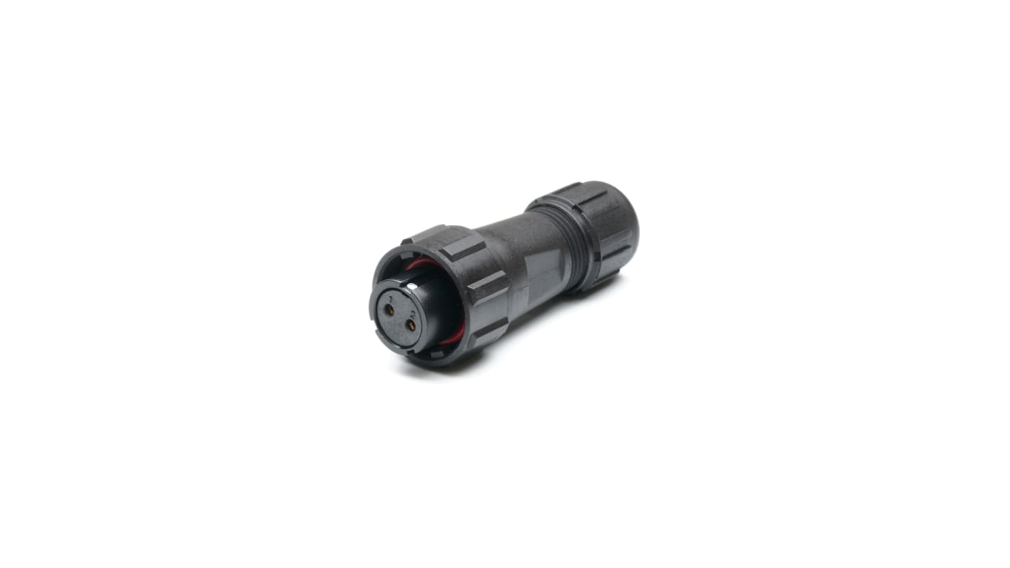 Connettore circolare RS PRO, maschio, Standard, 2 poli, Montaggio su cavo