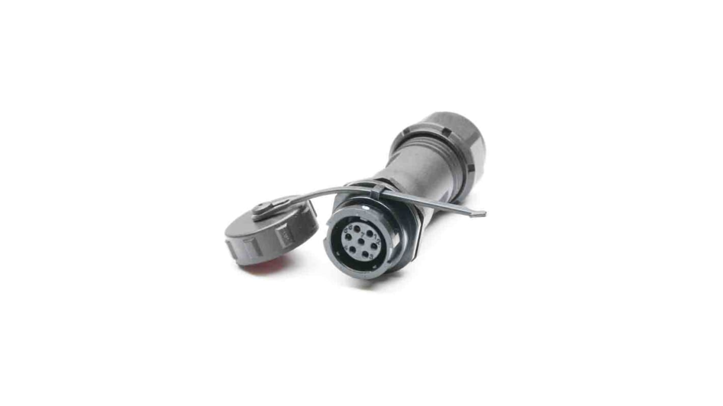Connettore circolare RS PRO, femmina, Standard, 7 poli, Montaggio su cavo