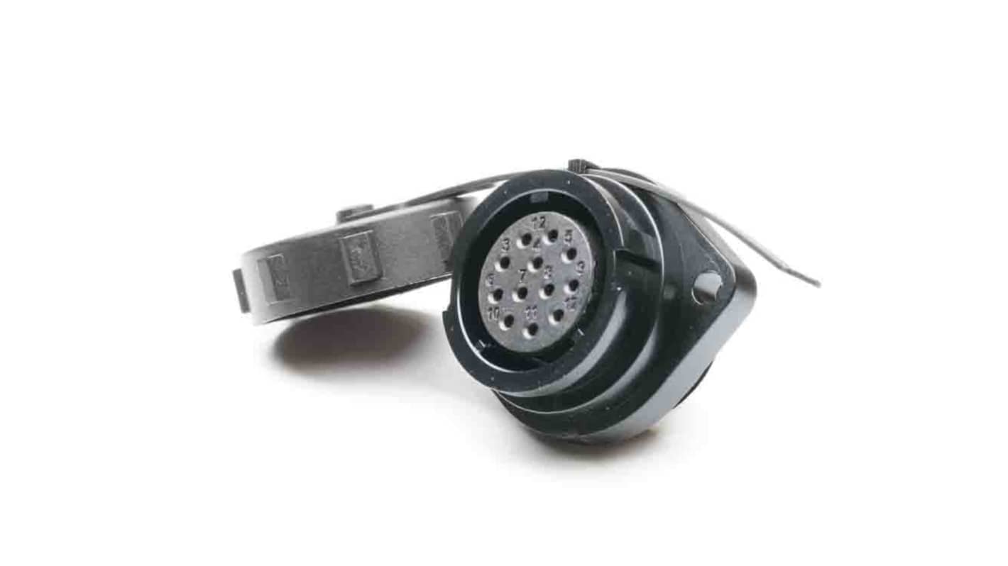 Conector circular RS PRO hembra de 12 vías hembra, Montaje de Reborde, IP67