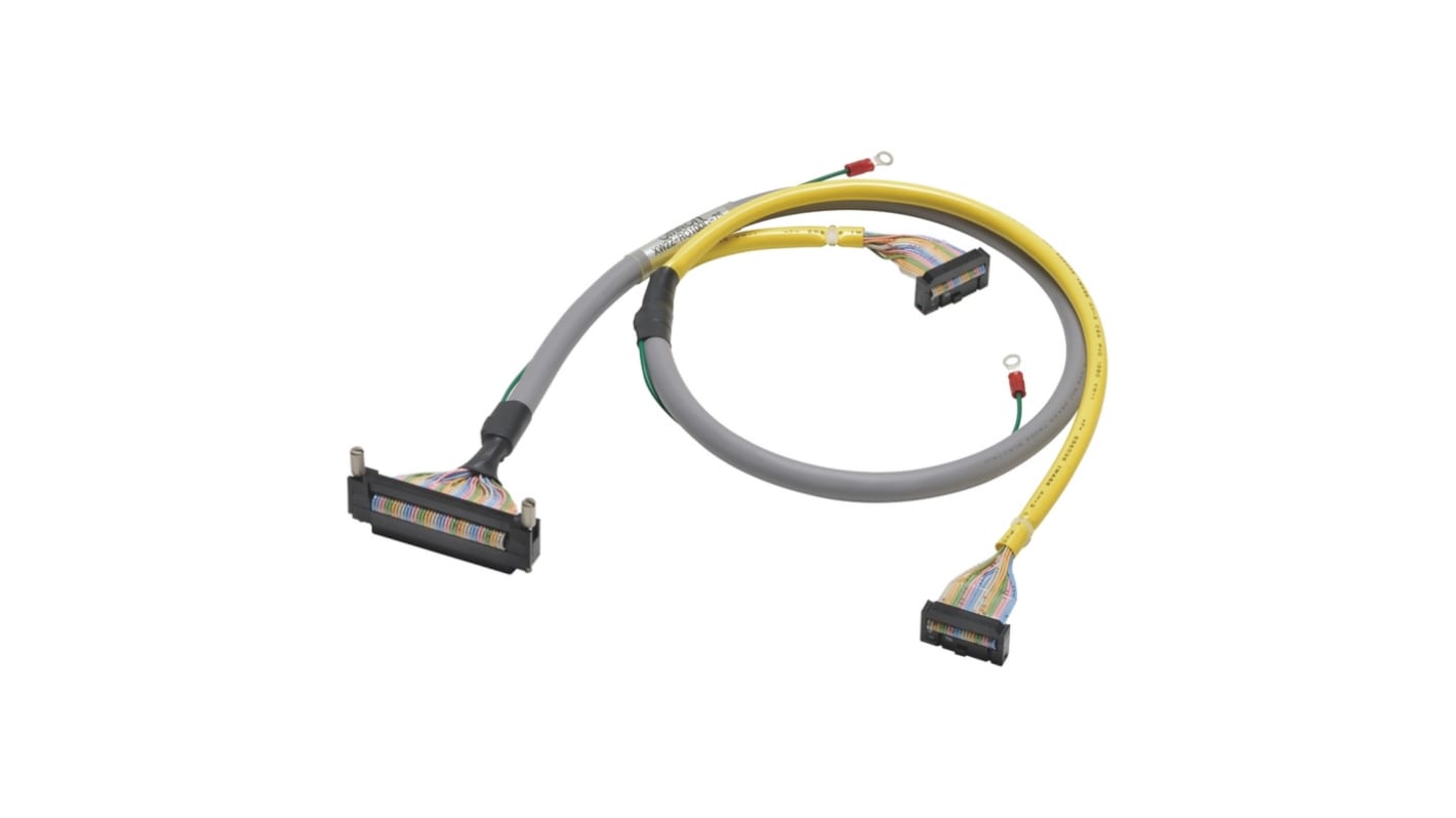 Omron Cable for Use with Programmable Controller, 2m Length, 250 V