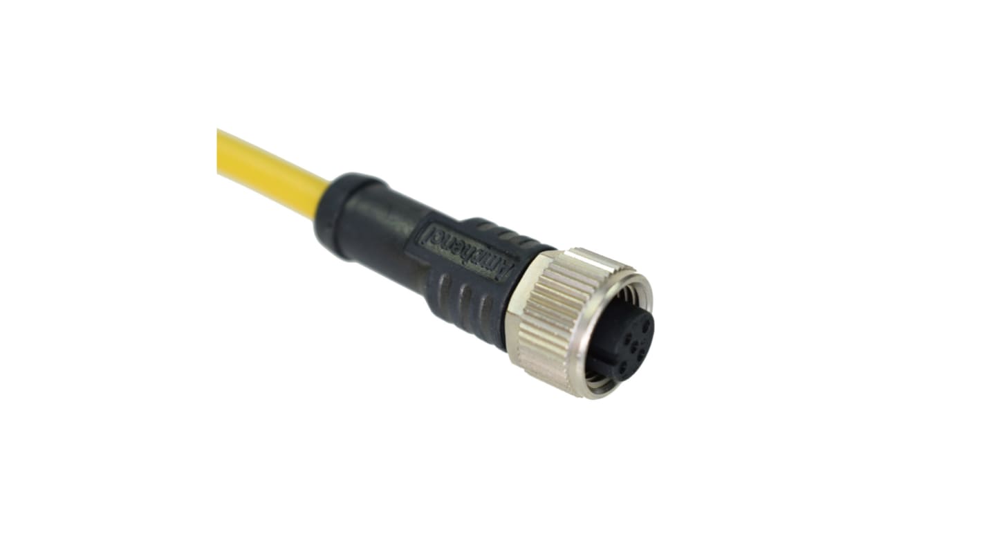 Amphenol Female 17 way M12 to Unterminated Sensor Actuator Cable, 2m